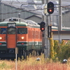 115系Ｎ15編成「訓練車」が留置線へ