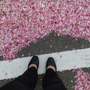 kirakunikakitai.com