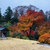 日張山　青蓮寺　ご縁を頂いて