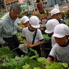 ２年：ふるさと学習（夏野菜の苗の購入）