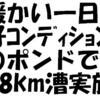 今日は小春日和、好ｺﾝﾃﾞｨｼｮﾝで18km漕