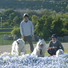 ○お花を見に淡路島へ