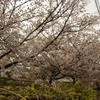 ちょっと歪んじゃってる天神川。