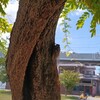 さまーうぉーず？(土曜日、晴れ)