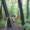六合・暮坂高原の森で木登り体験