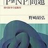 野崎昭弘『「P≠NP」問題 現代数学の超難問』