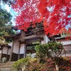 【京都】南丹市、『龍隠寺』に行ってきました。 女子旅 京都紅葉