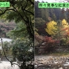 2009/11/8　(93㎞) 　輪行第４弾　寒狭川、鳳来寺→飯田線