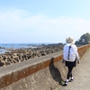 高知14日目【後編】　白浜～ネストウエスト土佐
