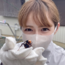 ハチ駆除ハンターななみの日記