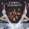 【英国プログレ】CAMEL - Bootleg File 1977