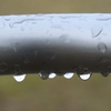 雑談：6月最後の日は雨