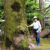 日本　背景は谷汲山華厳寺の新緑