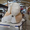 東京オリンピックから逃げるために東北地方の乗りつぶしをした(5) 本編: 7/31〜8/1