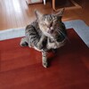 激辛チップスで救急搬送