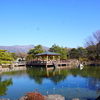 佐藤商店のうまうまワッフルを県の森公園で食べて来たよ(*'ω'*)