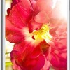 Samsung GT-i9508C Galaxy S4 TD-LTE
