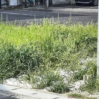 空地　vacant land