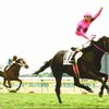 【ダービー】ジンクスを破れ（１）青葉賞勝ち馬アドミラブルの挑戦