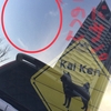 負け戦で得たもの、失ったもの〜(๑•ૅㅁ•๑)何ダッテ❓