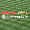 野球観戦の魅力を徹底解説！ひとり観戦でも全然大丈夫だよ！