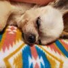 泊まって発散＾＾