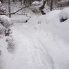 正月～現在までの雪レポ－多すぎる雪との格闘－