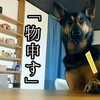 絶対ブレてはいけない軸 (๑•̀o•́๑)۶