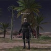 ＦＦ１１日記：忍者アーティファクトを揃えつつ、プロマシアミッション継続中