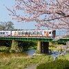 桜巡り 　８　頓田川・河川敷