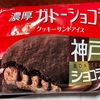 濃厚ガトーショコラアイスが美味しすぎる