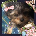 衣食住とヲタ趣味日記