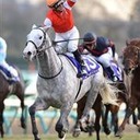 みっちーの競馬予想ブログ