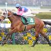 競馬初心者必見☆馬券予想🔥〜毎日杯〜良血馬がクラシック戦線に躍り出る！