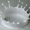 映画「MILK」アメリカ政治の中のゲイ達（１