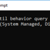 DisableLastAccess and  2 (System Managed, Disabled)