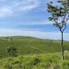 山口県はやっぱり遠かった…／兵庫県〜山口県 車での移動時間と名門大洋フェリーキャンペーン