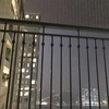 雨