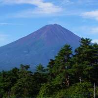 waterdogsのわんこ写真ブログ