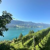 スイスの湖Walensee