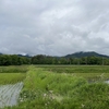 2025/05/25 日曜日　雨上がりの雲
