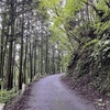 東京都 檜原村 時坂峠 ロードバイクで行く「林道浅間線」