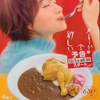 三軒茶屋整体院長のカレー屋巡り　すき家のほろほろチキンカレー