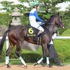 次走の鞍上も松山Ｊに決定。休ませて良くなっている馬体を維持してレース当日を迎えて欲しい。☆ヴィースバーデン