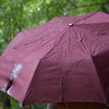 梅雨の工石山遊山　雲の中