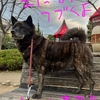 藍春〜アイハル〜