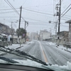 暖かかった東京も雪