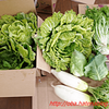 野菜高騰時期に伯母から助け船が来ました