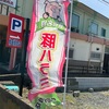 鉾田名物、仲田精肉店の豚ハラミ