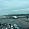 フランクフルト便到着